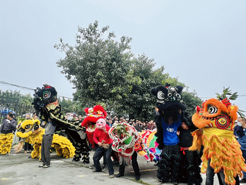 1676012607950170.gif 圖1(動圖).gif